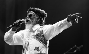 Reggaemusik 1